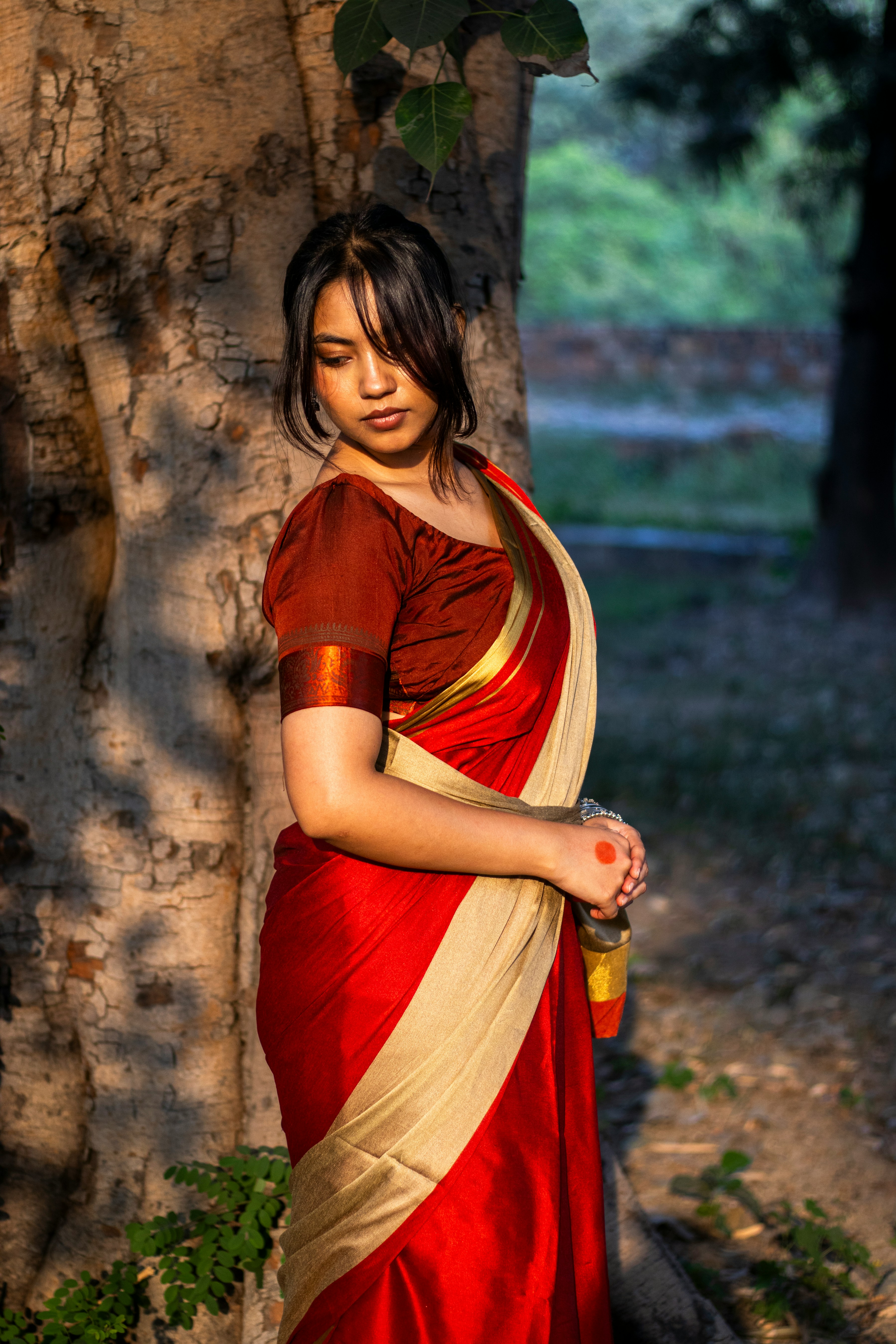 Party Wear Saree